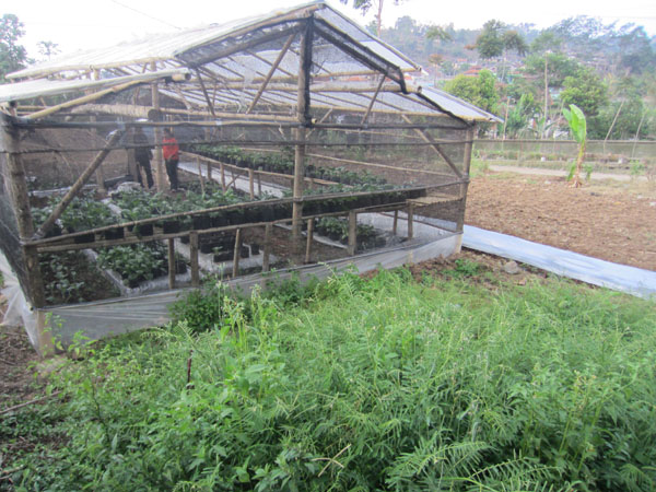 Bangunan Green House