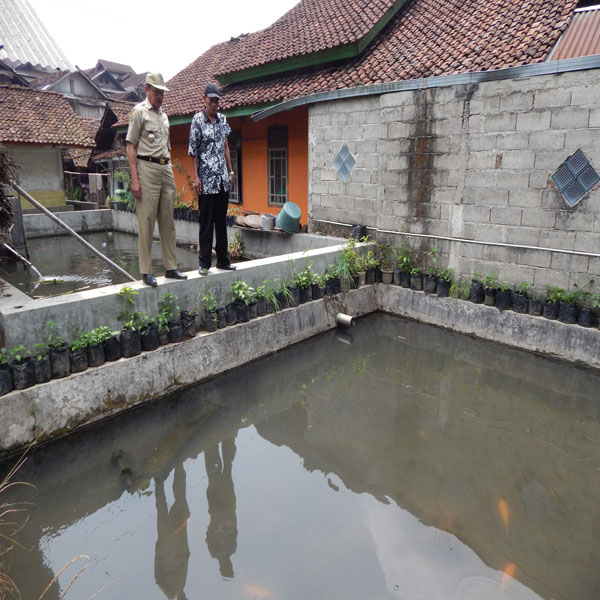Kolam Ikan Banjarnegara 1
