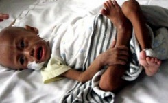 photo from www.beritasatu.com