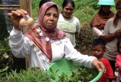 Gerakan Sadar Gizi Melalui Pembagian Bibit Sayur di Desa Sukamaju – Garut