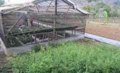 Bangunan Green House Bangunan Green House